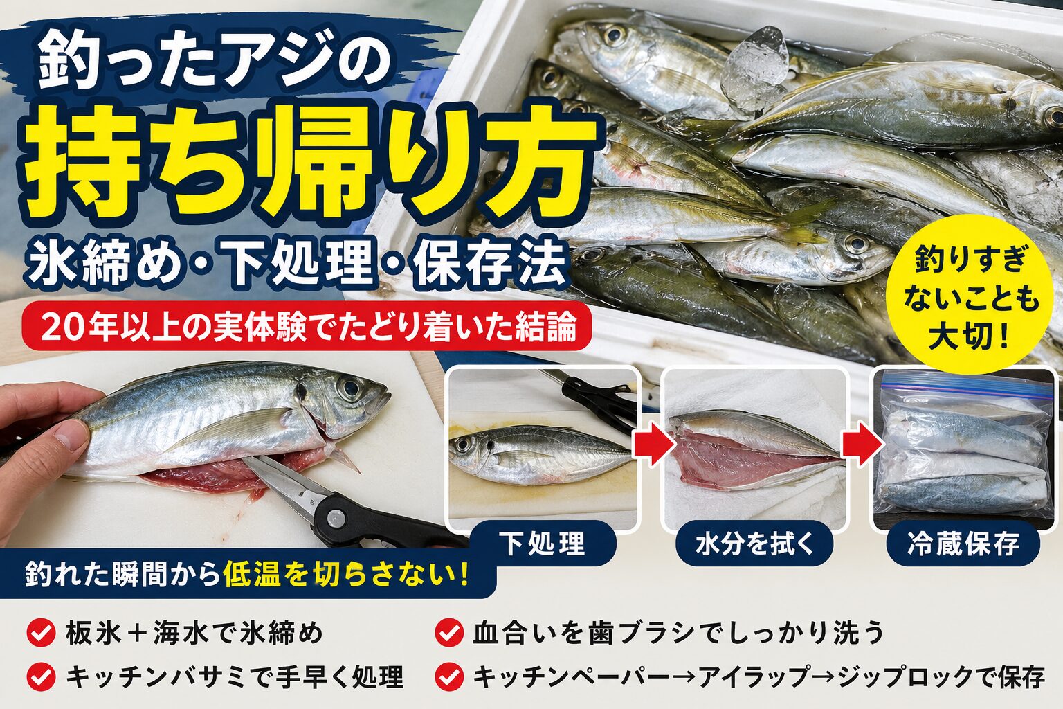 釣ったアジの持ち帰り方と氷締め・下処理・保存方法を紹介するアイキャッチ