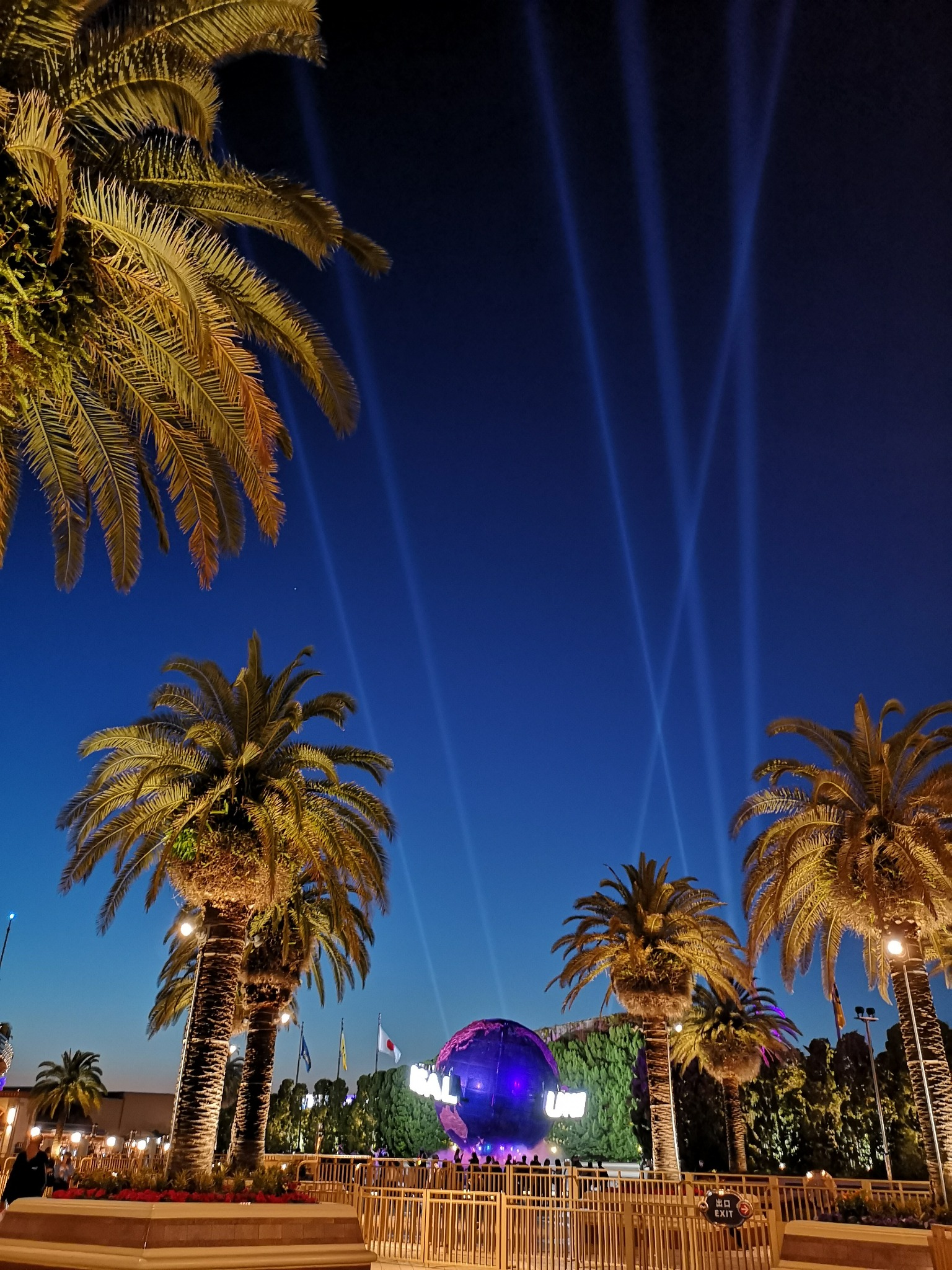 夜のUSJのヤシの木と空を照らすサーチライト