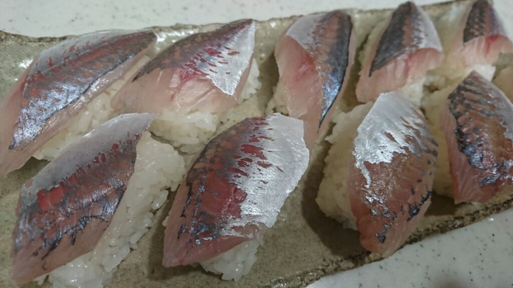釣ったアジで作った握り寿司
