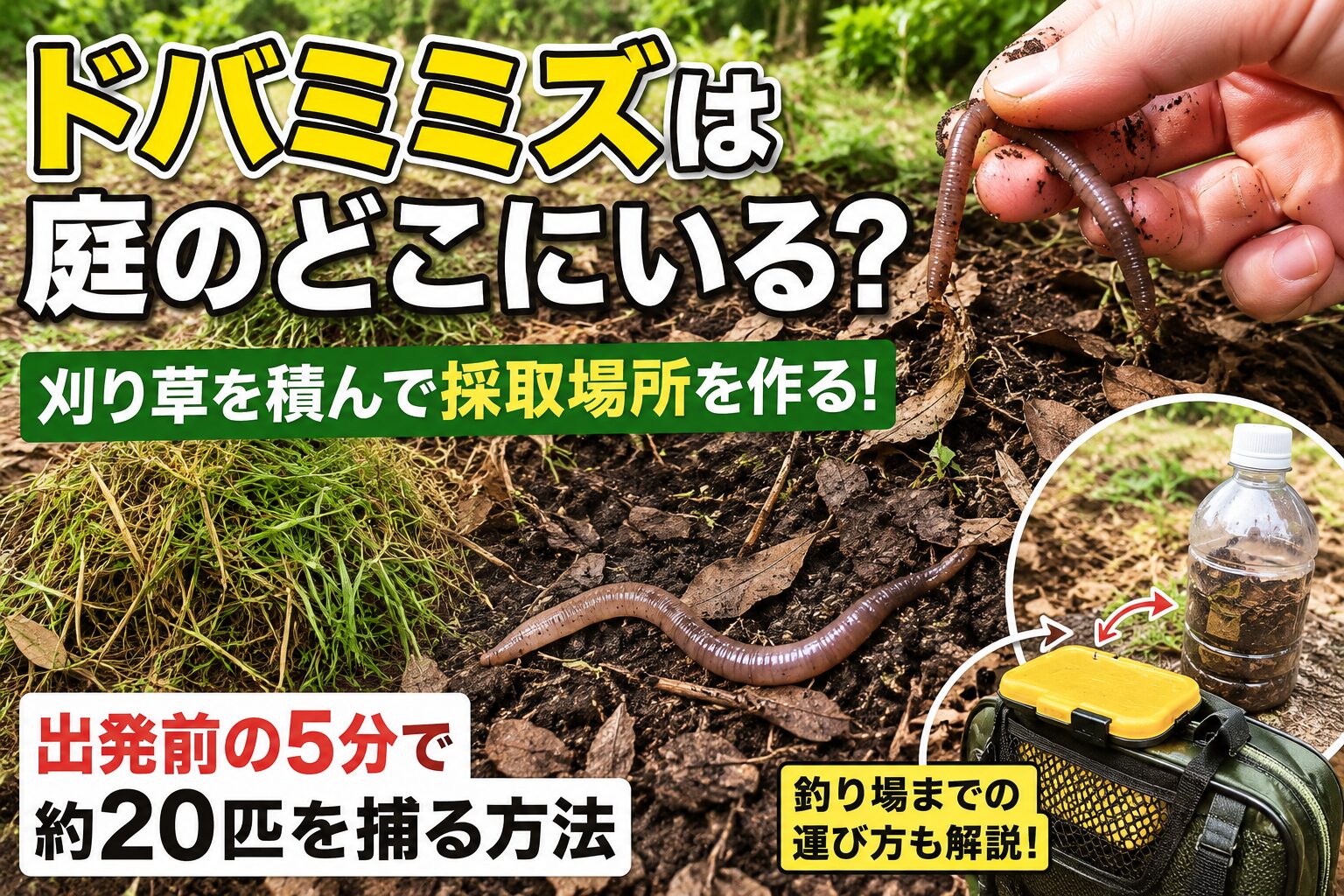 刈り草の下で見つけたドバミミズと庭での捕まえ方
