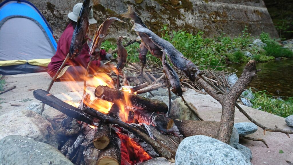 渓流のそばで長い枝に刺したイワナを焚き火で焼く様子