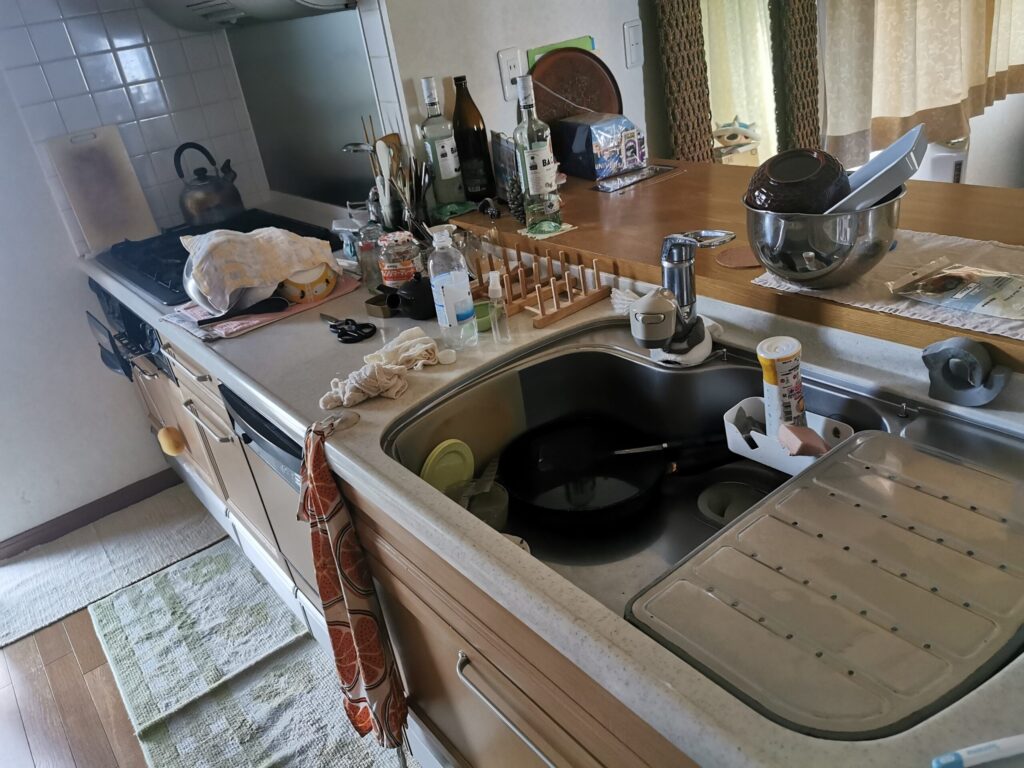 24年間ほぼ交換せず使い続けている我が家のキッチン